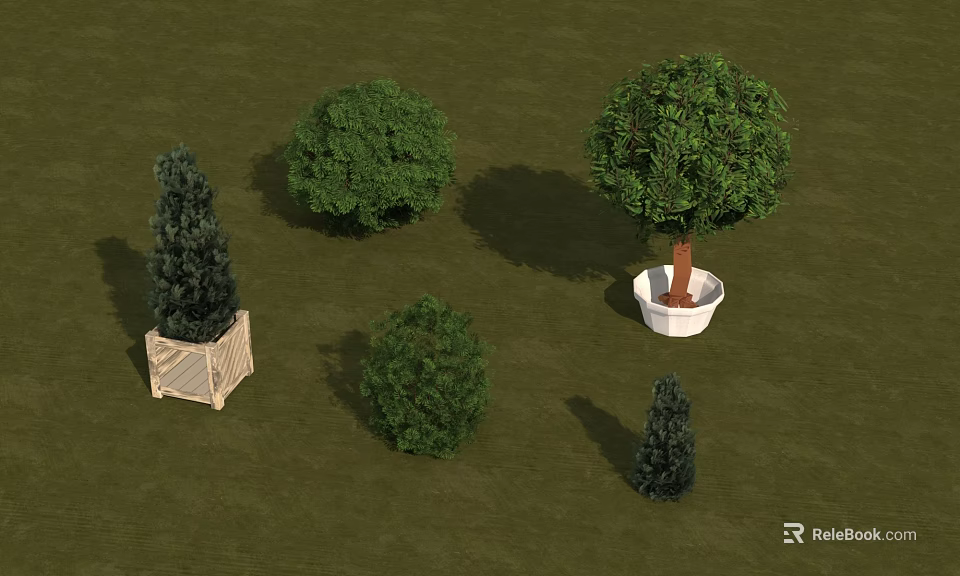 Potted Arbor Trees With Various Shapes Sizes And Planters On Green Grass Surface 3d model 