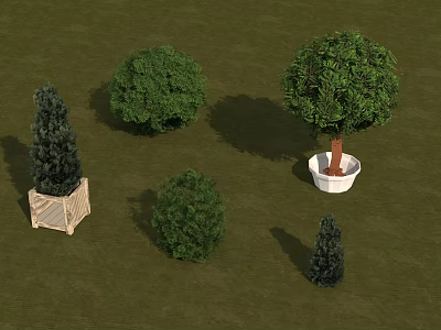 Potted Arbor Trees With Various Shapes Sizes And Planters On Green Grass Surface 3d model
