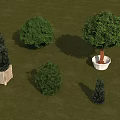 Potted Arbor Trees With Various Shapes Sizes And Planters On Green Grass Surface