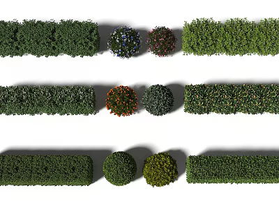 Various Shaped Bushes For Garden Landscaping With Green Foliage And Colorful Blooms 3d model