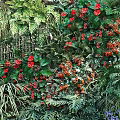 Lush Living Plant Wall With Colorful Flowers Waterfall Feature And Wooden Fence