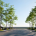 Plant Combination Along Paved Pathway With Trees Stones And Green Foliage Under Clear Blue Sky