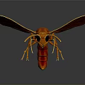 Realistic Orange Wasp 3D Model Featuring Detailed Wings Antennae And Body Features