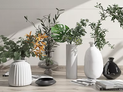 Various White and Black Decorative Vases with Green Plants and Foliage on Table 3d model