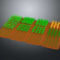 Organized Agricultural Field With Various Green And Yellow Crops In Planted Rows