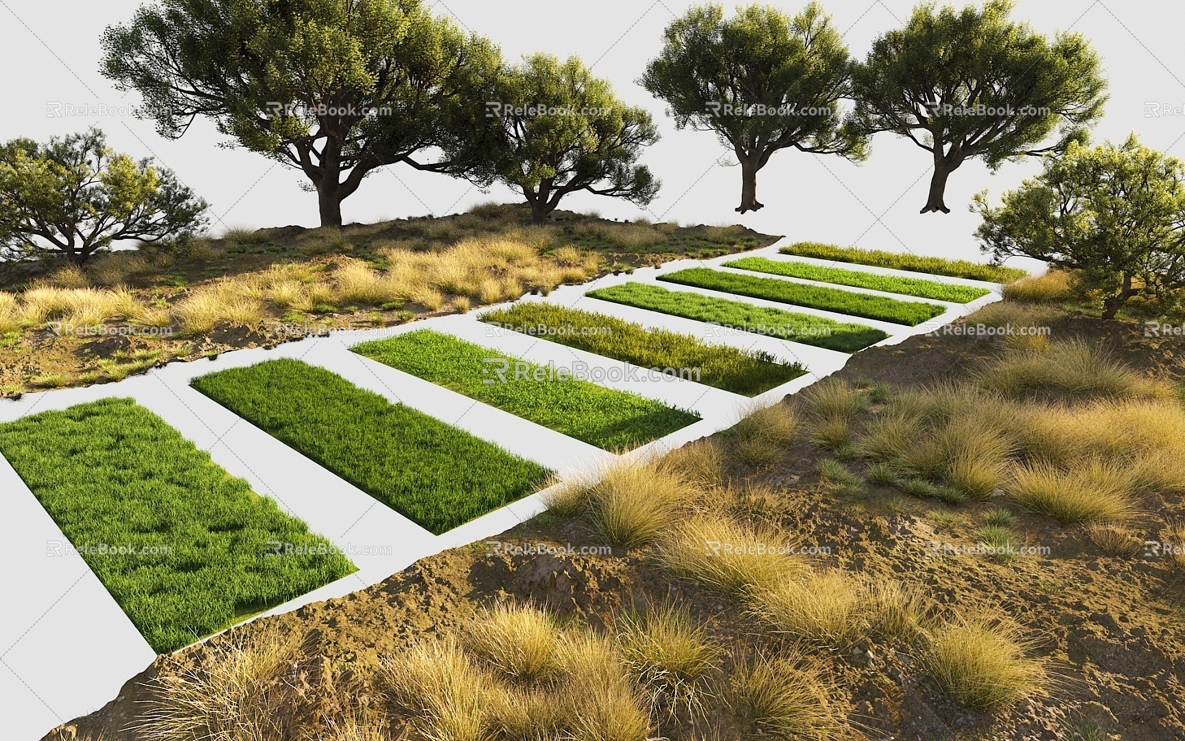 Grass Lawn Wild Grass Dry Grass Garden Grass Turf Plants Shrubs Trees Flowers and Plants 3d model