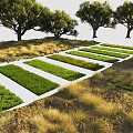 Green Grass Strips Neatly Arranged in Outdoor Garden with Dry Grass and Trees