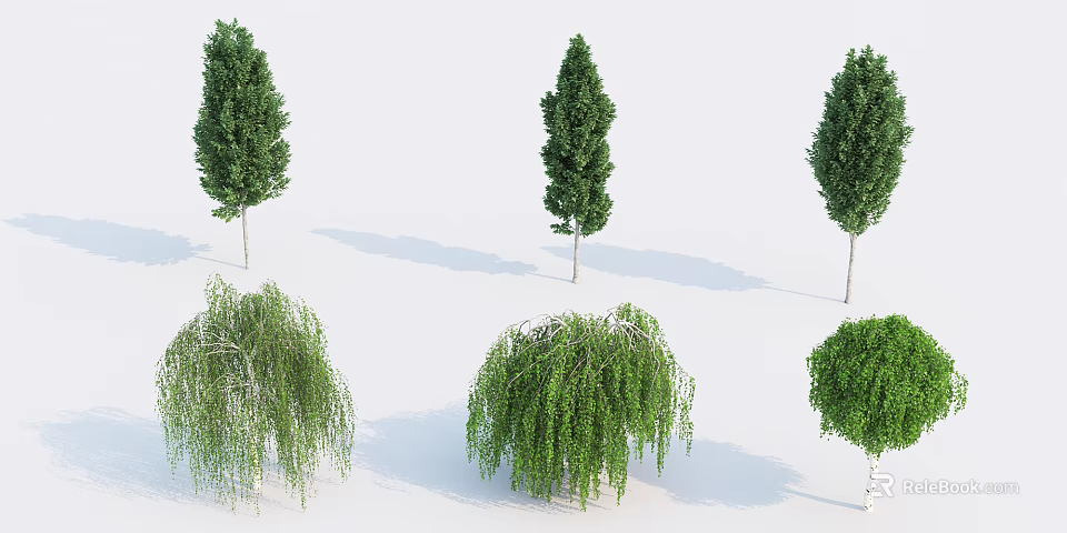 Various Arbor Tree Varieties With Lush Green Foliage for Landscape Design 3d model