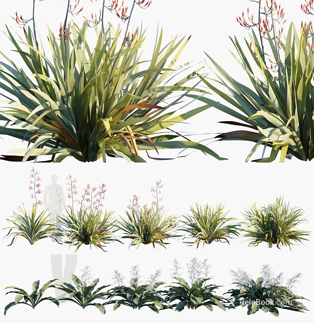 Various Green Leafy Herbaceous Plants With Different Foliage Shapes And Natural Growth 3d model 