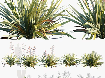 Various Green Leafy Herbaceous Plants With Different Foliage Shapes And Natural Growth 3d model