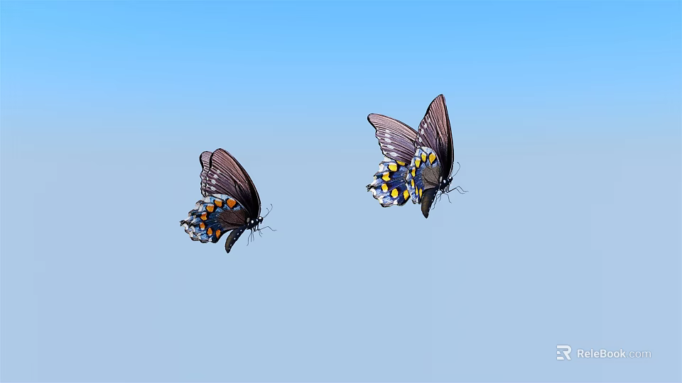 Two Dark Winged Butterflies Flying in Blue Sky With Blue and Yellow Spots 3d model 