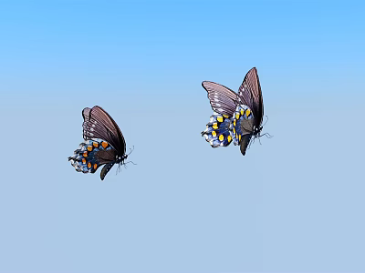 Two Dark Winged Butterflies Flying in Blue Sky With Blue and Yellow Spots 3d model