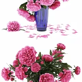 Pink Peonies in Purple Glass Vase on Wooden Table with Dark Background and Scattered Petals