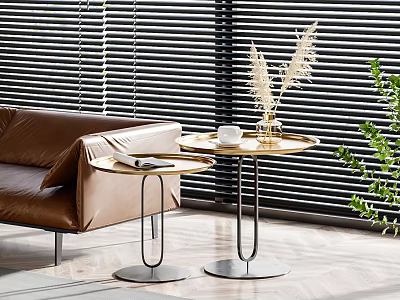 Modern Side Tables With Wooden Tops Metal Frames By Brown Sofa Blinds And Pampas Grass 3d model