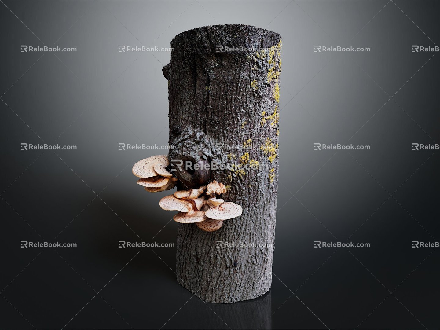 Mushrooms, straw mushrooms, poisonous mushrooms, plant mushrooms, mushrooms, ganoderma lucidum, tree mushrooms, vegetables, fruits and vegetables 3d model