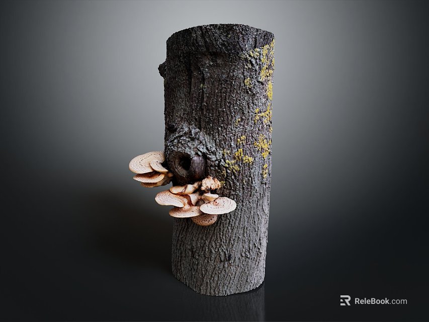 Fresh Wild Mushrooms Growing On Natural Tree Stump With Yellow Moss 3d model 