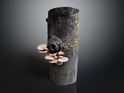 Fresh Wild Mushrooms Growing On Natural Tree Stump With Yellow Moss 3d model