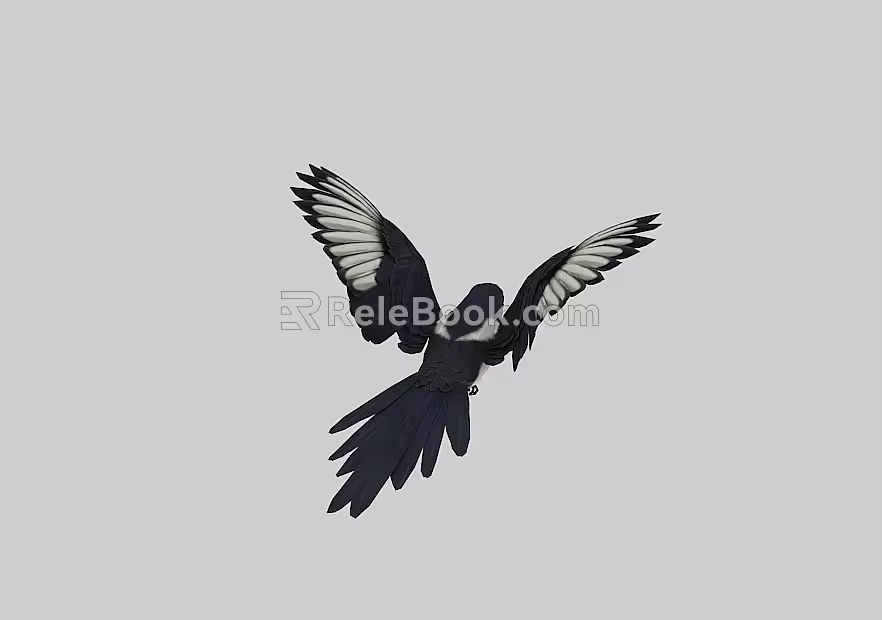Magpie Flight Animation Point Cache 3d model