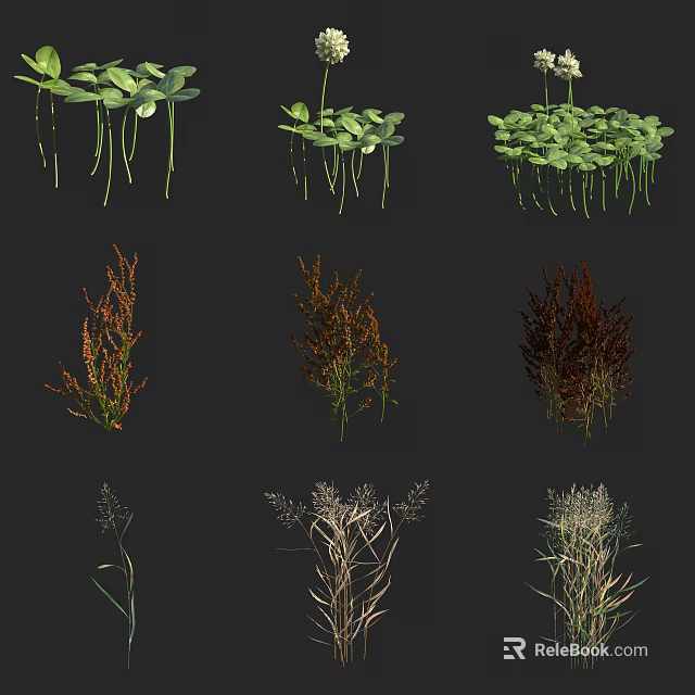 Diverse Green and Brown Botanical Plants with Long Stems and Lush Foliage 3d model 