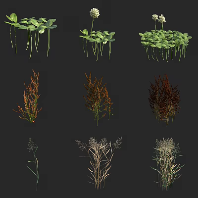 Diverse Green and Brown Botanical Plants with Long Stems and Lush Foliage 3d model