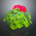 Vibrant Geranium Plant With Lush Green Leaves And Bright Red Flowers In Hemispherical Growth