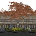 Japanese-style feather maple red maple tree landscape tree courtyard landscape sketch water pot tingbu plant landscape stone wall 3d model