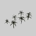 Six Tropical Palm Trees in Various Poses on Black Background 3d model