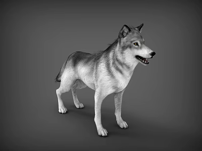 Realistic Reptile With Gray Scales Standing Alert On Neutral Gray Background 3d model