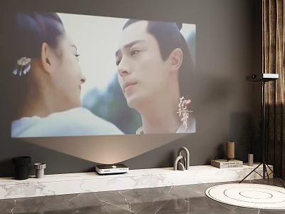 Home Projection And Monitoring In Stylish Living Room With Decor 3d model
