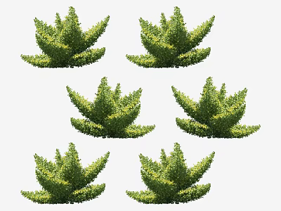 Six Green Shrubs With Lush Foliage For Garden Landscaping Decoration 3d model