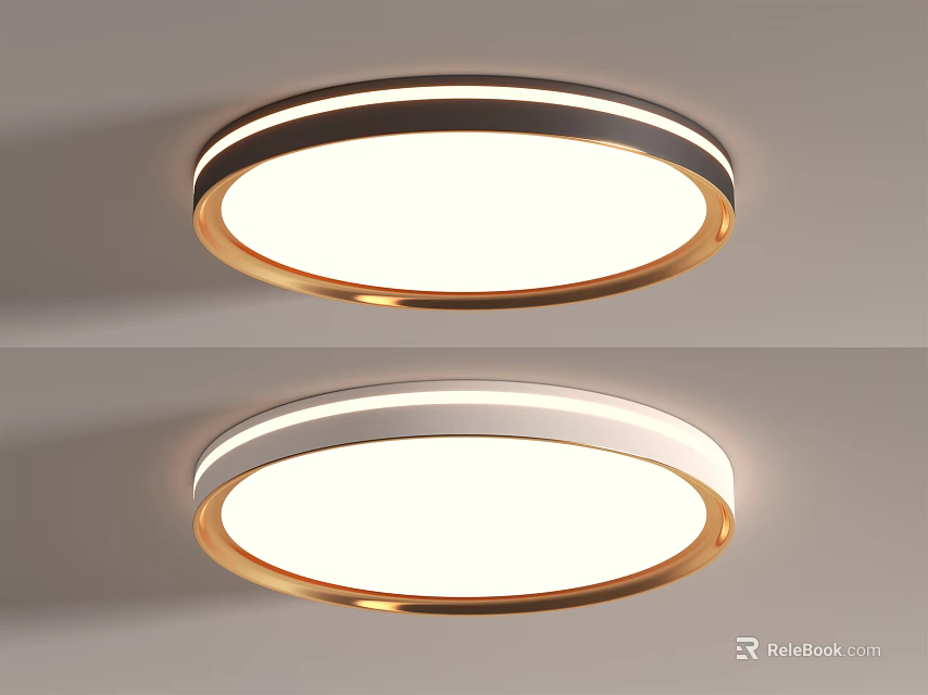 Modern Circular Ceiling Light With Gold Silver Trim Illuminated Design for Home Ceiling Decoration 3d model