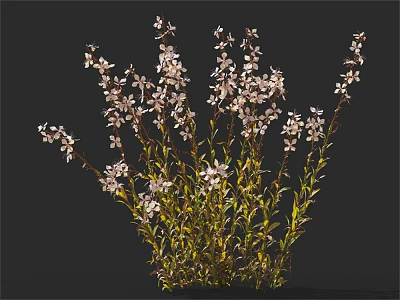 Clustered Green Plants With White Delicate Flowers And Slender Stems In Natural Growth 3d model