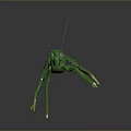 Detailed Green Mantis 3D Model With Long Antennae And Yellow Legs