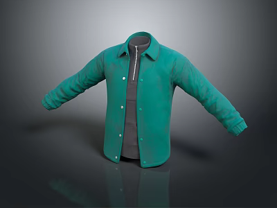 Green Stylish Long Sleeve Collared Shirt With Button Front Design 3d model