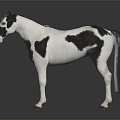 Modern Horse Big Horse Mustang 3d model