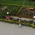 Garden Landscape With Lush Green Plants Pathway Lantern Street Lamps Wooden Fence And Yellow Flowers