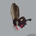 Detailed Butterfly with Golden Wings Intricate Patterns Black Body Red Spots and Pointed Tail