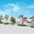 Modern Tree Courtyard Landscape Tree Combination 3d model
