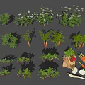 Fresh Garden Vegetables Carrots Beets Parsley Onions Red Peppers with Harvested Produce Bag