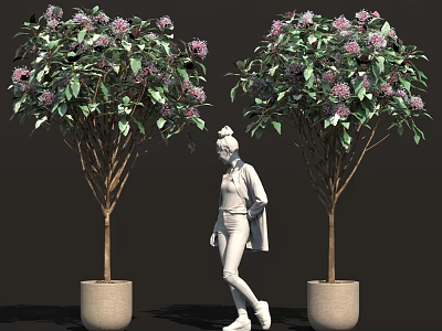 Potted Trees With Purple Flowers Green Leaves And Person In White Clothing Between Them 3d model