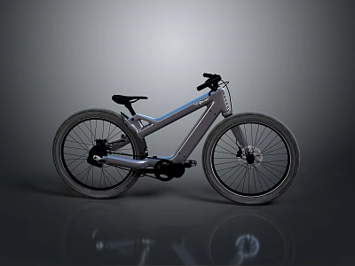 Sleek Modern Bicycle With Sturdy Frame Large Wheels And Comfortable Seat 3d model