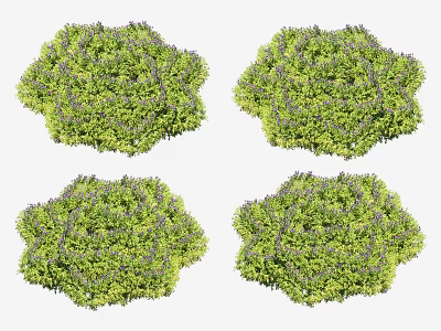 Lush Green Flowering Bushes With Purple Blooms In Garden Landscape Design 3d model