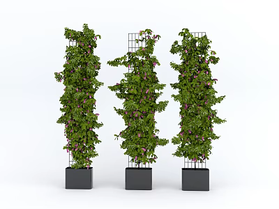 Vertical Bonsai Potted Plants with Green Vines Purple Flowers in Black Square Pots Metal Frames 3d model