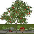 Apple Tree With Red Apples In Green Grassland And Basket Of Fruits