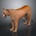 Realistic 3D Brown Cougar Standing with Open Mouth on Dark Background