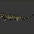 Reptile Lizard With Spotted Body Open Mouth And Long Tail On Gray Background