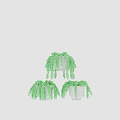 Decorative Ornament Set With Hanging Green Plants And White Pots For Home Decor