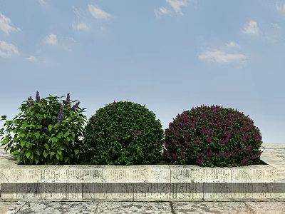 Modern Shrub Flowering Plant 3d model Modern Shrub Flowering Plant 3d model