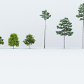 The Modern Tree 3d model