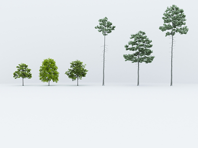 The Modern Tree 3d model